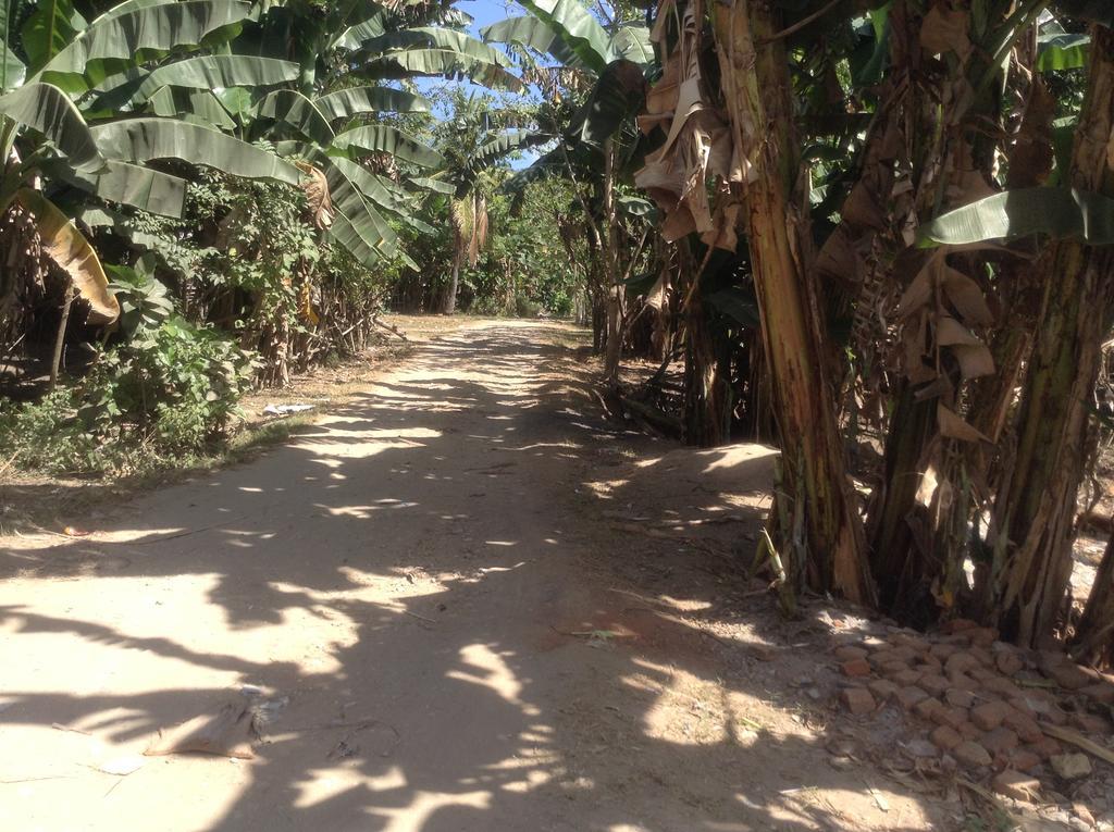 Rasti Homestay Kuta  Exterior photo